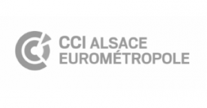 Logo CCI Alsace Eurométropole