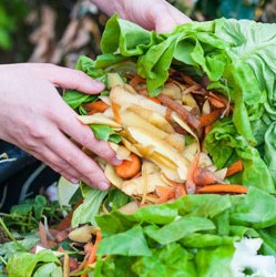 Formation Développement durable : le gaspillage et la gestion des déchets