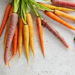 Formation Nouvelles recettes de garnitures et légumes cuisinés