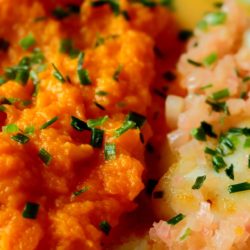Formation Les textures modifiées et le manger-mains