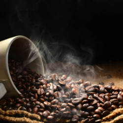 Formation Barista